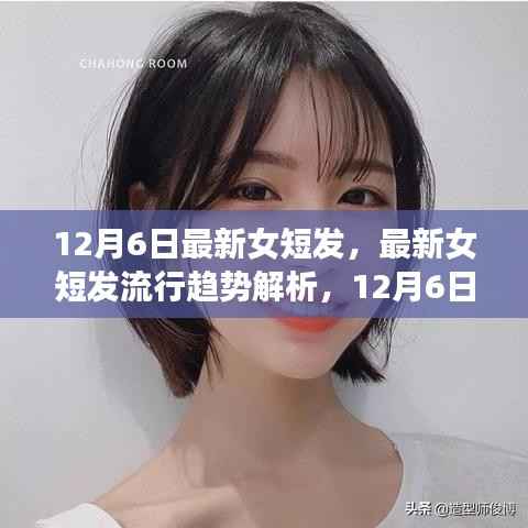 最新女短发流行趋势解析,12月6日的时尚焦点与发型变革