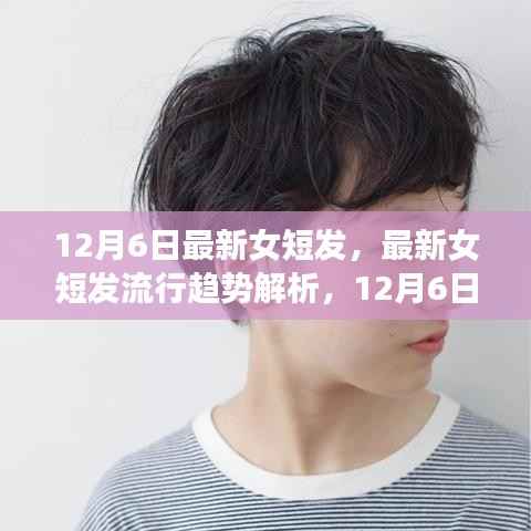 最新女短发流行趋势解析,12月6日的时尚焦点与发型变革