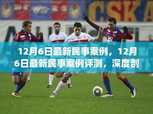 深度解析,最新民事案例特性、用户体验与目标群体——12月6日评测报告