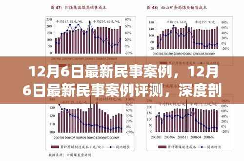 深度解析,最新民事案例特性、用户体验与目标群体——12月6日评测报告