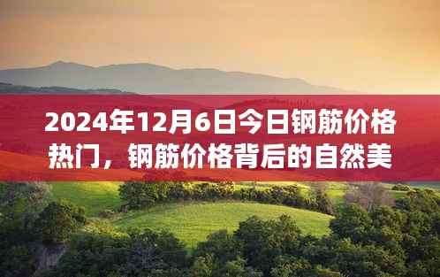 钢筋价格背后的自然美景探索之旅,心灵洗礼与宁静之旅启程