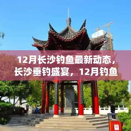 12月长沙垂钓盛宴,探寻宁静水域,最新钓鱼动态揭秘