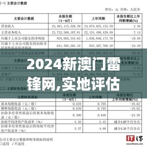 2024新澳门雷锋网,实地评估数据策略_CT2.254