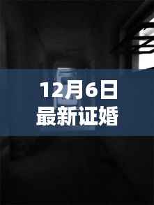 12月6日最新证婚词,探秘小巷深处的宝藏,一家隐藏式的特色小店,12月6日最新证婚词惊艳呈现!