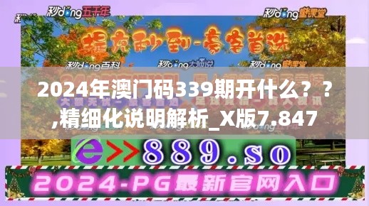 2024年澳门码339期开什么??,精细化说明解析_X版7.847
