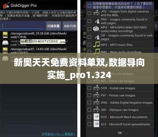 新奥天天免费资料单双,数据导向实施_pro1.324