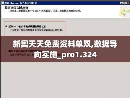 新奥天天免费资料单双,数据导向实施_pro1.324