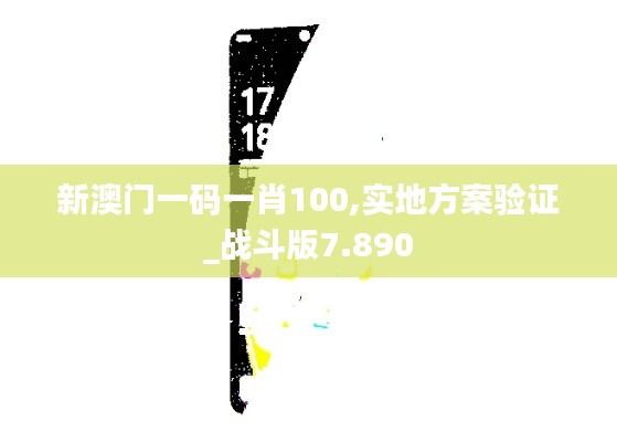 新澳门一码一肖100,实地方案验证_战斗版7.890