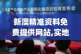 新澳精准资料免费提供网站,实地执行考察数据_3D6.752