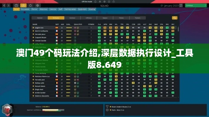 澳门49个码玩法介绍,深层数据执行设计_工具版8.649