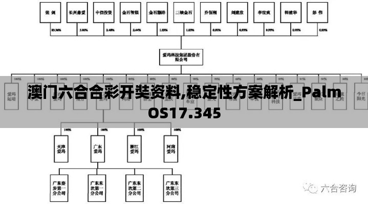 澳门六合合彩开奘资料,稳定性方案解析_PalmOS17.345