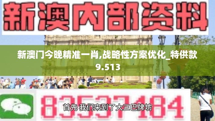 新澳门今晚精准一肖,战略性方案优化_特供款9.513