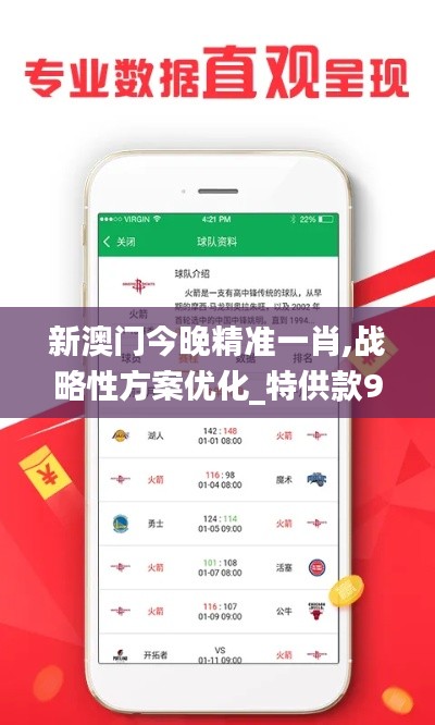 新澳门今晚精准一肖,战略性方案优化_特供款9.513