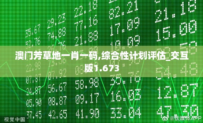 澳门芳草地一肖一码,综合性计划评估_交互版1.673