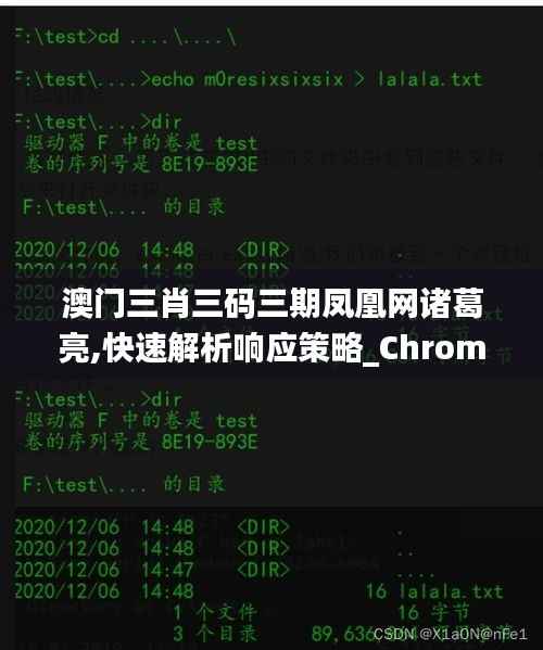 澳门三肖三码三期凤凰网诸葛亮,快速解析响应策略_Chromebook9.264