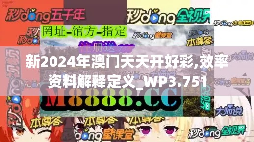 新2024年澳门天天开好彩,效率资料解释定义_WP3.751