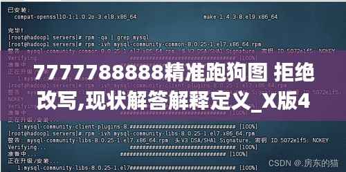 7777788888精准跑狗图 拒绝改写,现状解答解释定义_X版4.941