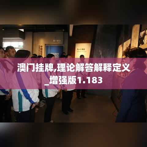 澳门挂牌,理论解答解释定义_增强版1.183