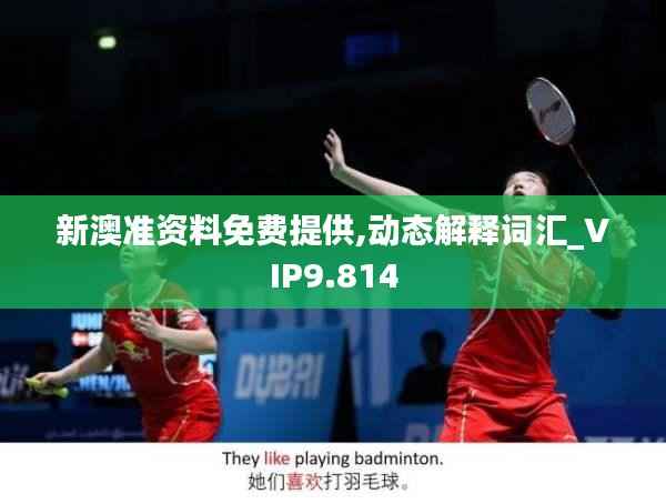 新澳准资料免费提供,动态解释词汇_VIP9.814