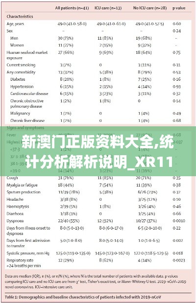 新澳门正版资料大全,统计分析解析说明_XR110.718
