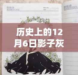 十二月六日影子灰的奇遇与温馨日常