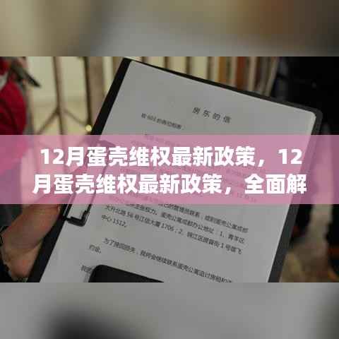 全面解读，蛋壳维权最新政策特性、用户体验与目标用户群体分析揭秘