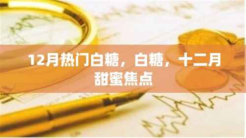 白糖热潮来袭,十二月甜蜜聚焦白砂糖
