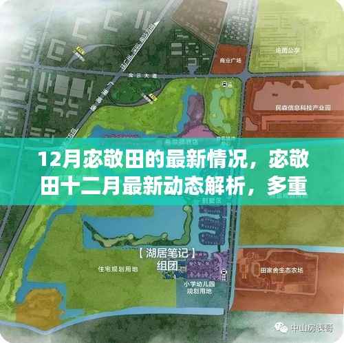 宓敬田十二月最新动态解析，多重视角下的观察与深度探讨