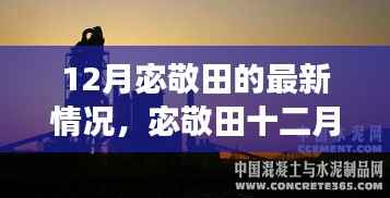 宓敬田十二月最新动态解析,多重视角下的观察与深度探讨