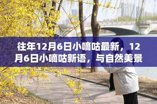 12月6日小嘀咕新语,与自然美景的不解之缘