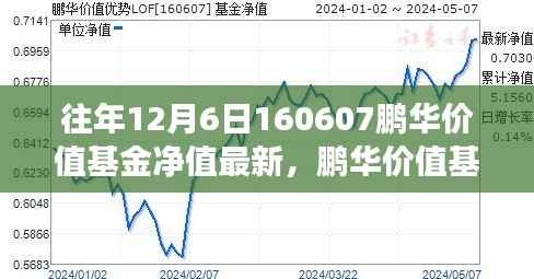 鹏华价值基金的成长之路,学习变化,自信成就未来——历年12月6日净值回顾与展望