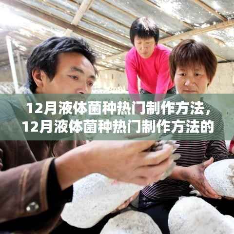 12月液体菌种热门制作深度解析与观点探讨,制作方法与启示