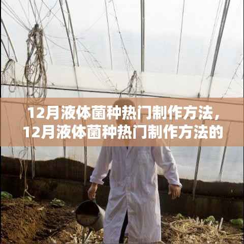 12月液体菌种热门制作深度解析与观点探讨,制作方法与启示