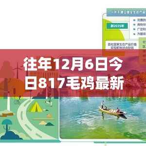 今日817毛鸡最新价格,探索自然美景之旅与追寻内心宁静的足迹