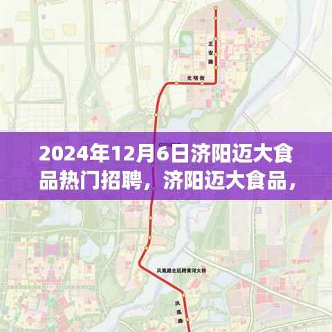 济阳迈大食品招聘盛会,友情与爱共融的温馨之旅(2024年12月6日)
