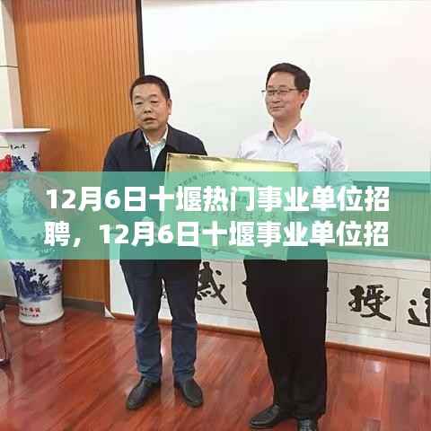 12月6日十堰事业单位招聘热点解析