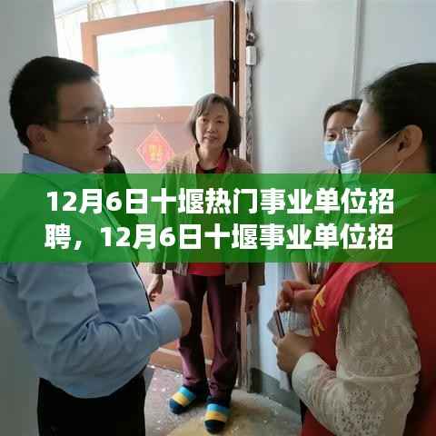 12月6日十堰事业单位招聘热点解析