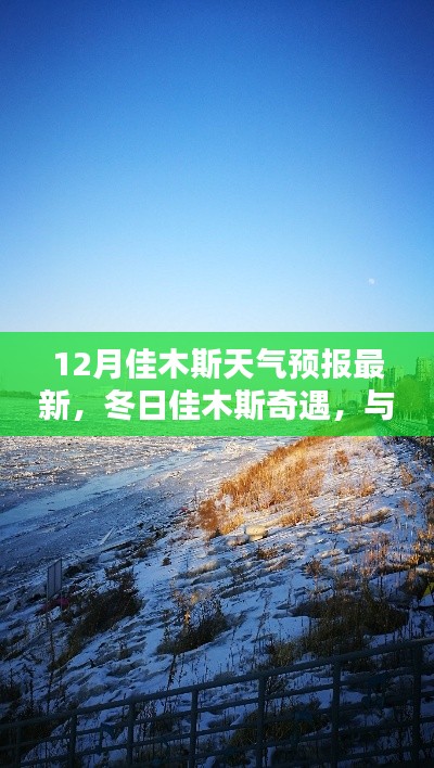 冬日佳木斯天气预报,与暖阳共融的温馨时光