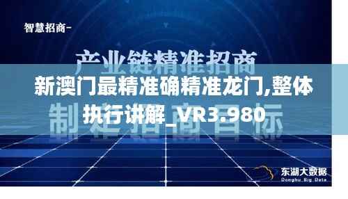 新澳门最精准确精准龙门,整体执行讲解_VR3.980