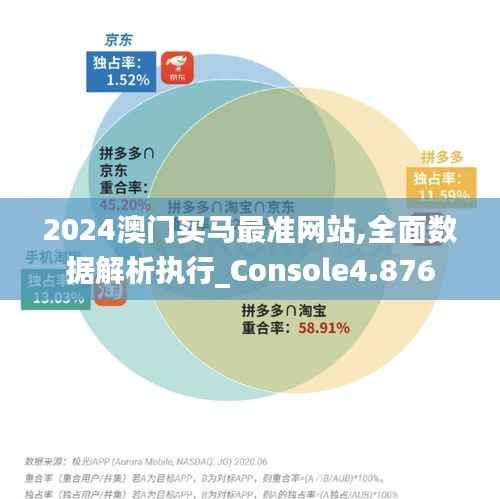 2024澳门买马最准网站,全面数据解析执行_Console4.876