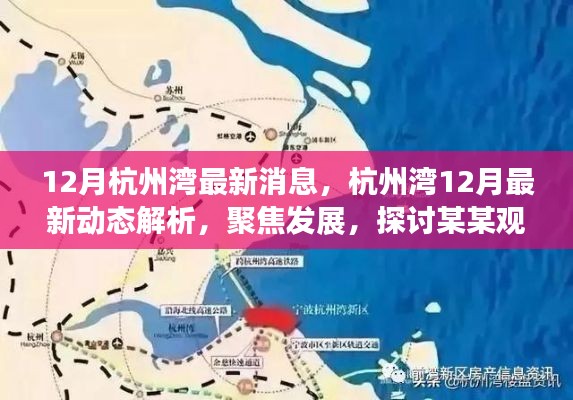 杭州湾12月最新动态聚焦与发展观点探讨