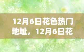 12月6日花色热门地址,12月6日花色热门地址,揭秘其背景、事件、影响与时代地位