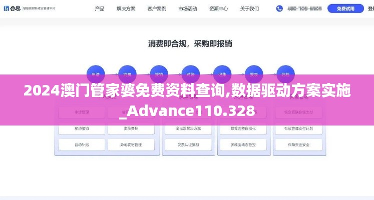 2024澳门管家婆免费资料查询,数据驱动方案实施_Advance110.328
