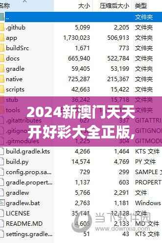 2024新澳门天天开好彩大全正版,模型解答解释落实_高级款1.999