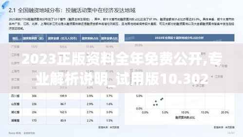 2023正版资料全年免费公开,专业解析说明_试用版10.302