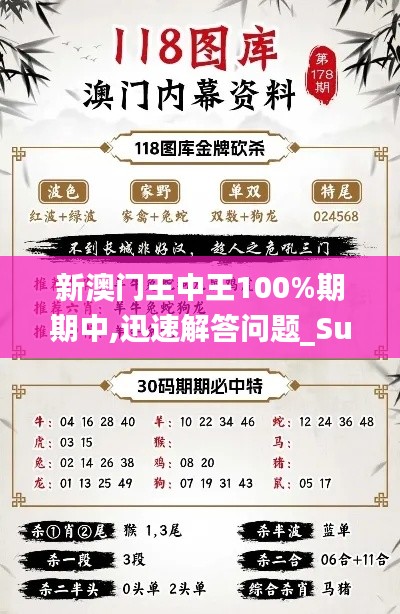 新澳门王中王100%期期中,迅速解答问题_Superior8.381