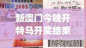 新澳门今晚开特马开奖结果124期,详述解答解释落实_2D8.516