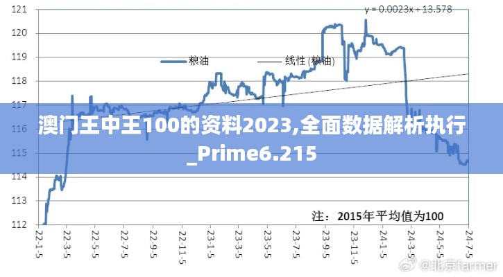 澳门王中王100的资料2023,全面数据解析执行_Prime6.215