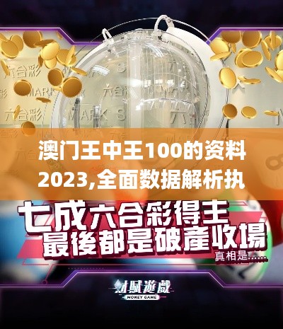 澳门王中王100的资料2023,全面数据解析执行_Prime6.215