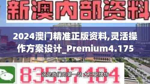 2024澳门精准正版资料,灵活操作方案设计_Premium4.175